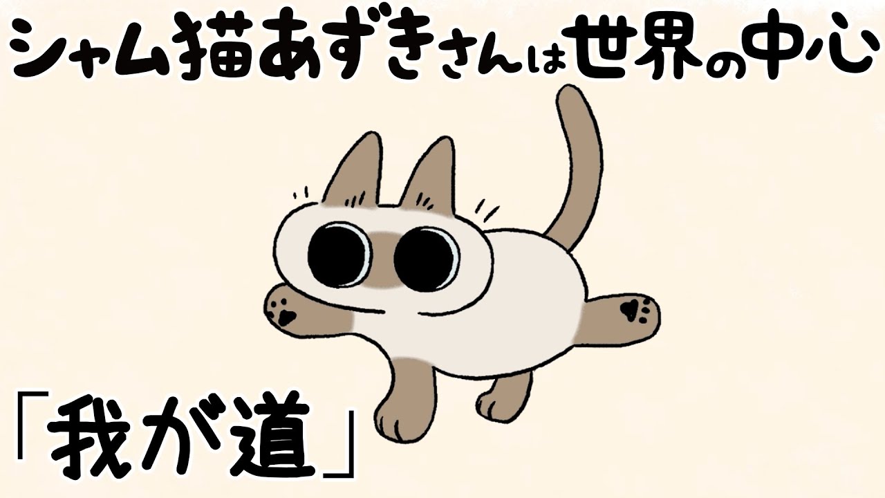 シャム猫あずきさんは世界の中心』アニメ第14話「我が道」 - YouTube