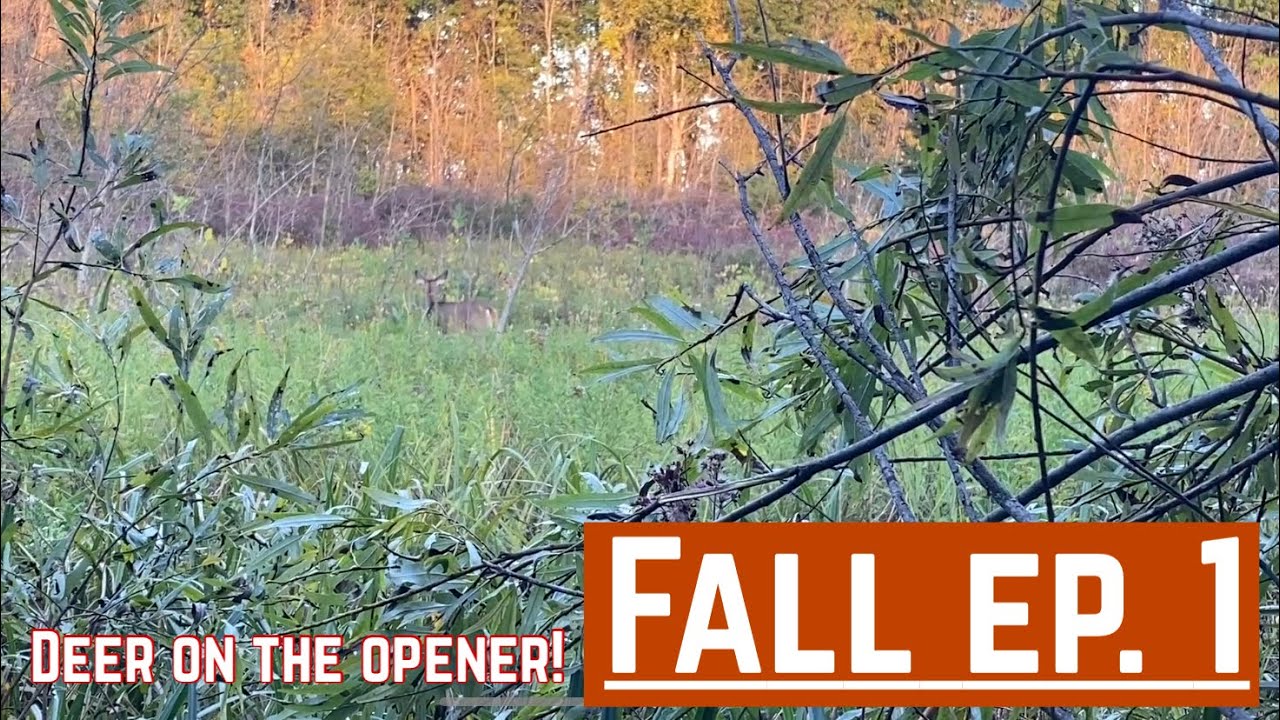 Bow season opening days! WERE ON DEER [Wisconsin deer hunting] YouTube