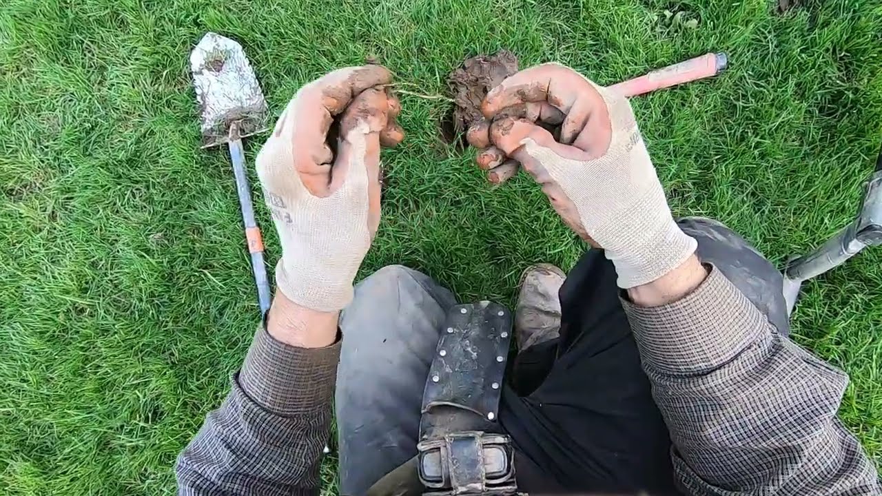 LIVE DIG ACTION!! Walter finds 2 rings in one hole...one is silver!!