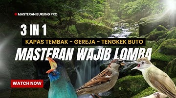 MASTERAN WAJIB LOMBA 1 NAFAS 3 LAGU (KAPAS TEMBAK GEREJA TENGKEK BUTO)