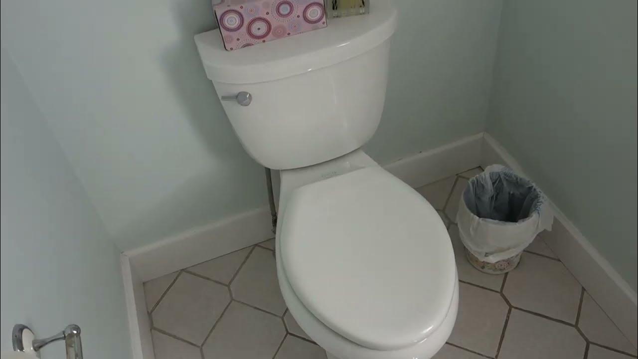 How To Fix Kohler Toilet That Won't Stop Running (Gasket Seal Replacement So Toilet Won't Run