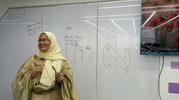 MATH-1213-0541, LACV & VA | EEE | Batch-12 | Dr. Rowsanara | University of Scholars