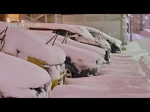 Hokkaido Snowfall / Night Walk