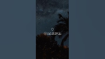 القرآن الكريم ❤️‍🔥❤️ بتلاوة عبد الرحمان المسعد #القران #راحة_نفسية