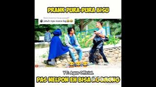 prank pura2 bisu