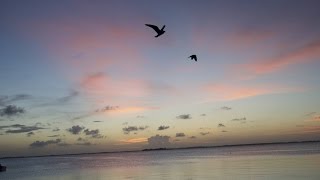 VLog 5 - 20 Questions Wealth