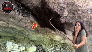 Download Lagu Strange Creatures and Strange Things You Must See to Believe | Incredible Moments (P4) MP3