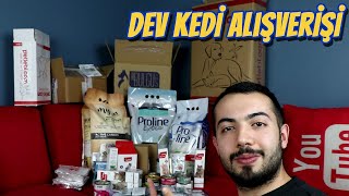 DEV KEDİ ALIŞVERİŞİ 3