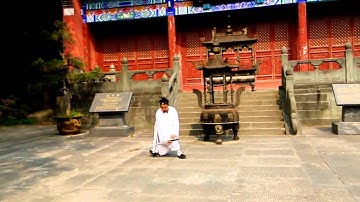 Wu Dang Tai Ji Sword 武当秘传太极剑 Xu Wei Han 许微含