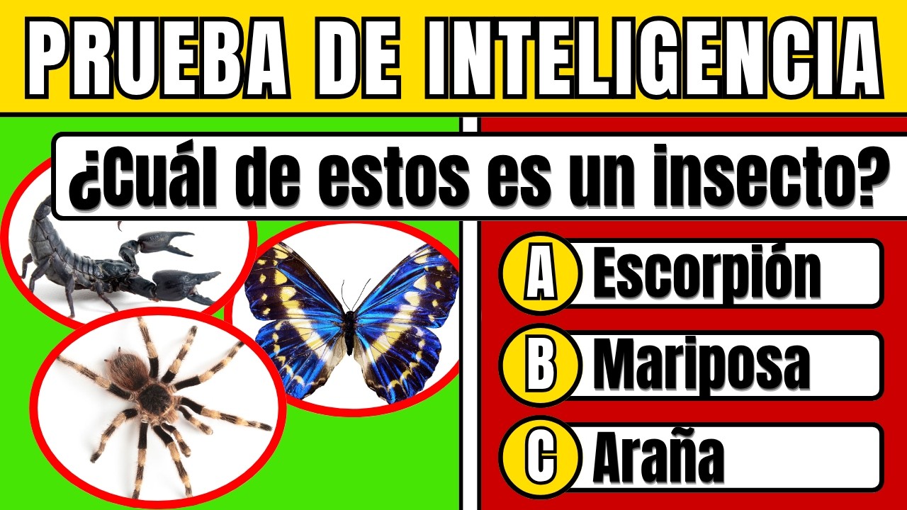 Si logras acertar 90 preguntas, puedes considerarte un GENIO