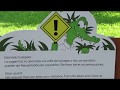 Beware of the crocodiles  nuevo vallarta mexico  grand mayan