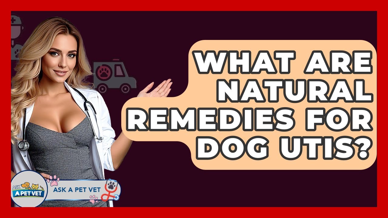 What Are Natural Remedies For Dog UTIs? - Ask A Pet Vet