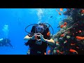 Дайвинг в Египте. Рас-Мохаммед. Diving in Egypt. Ras Mohammed.