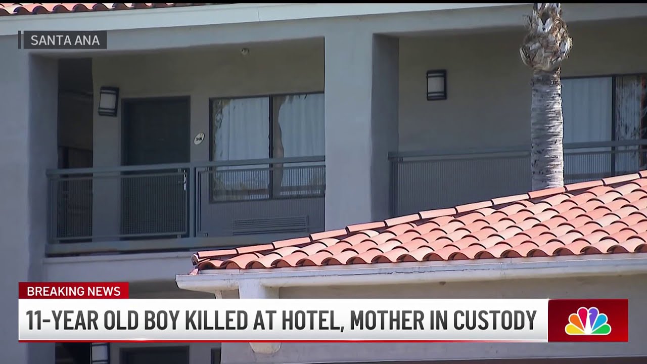 Mother in custody after allegedly fatally stabbing 11-year-old son in ...