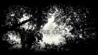 Furcht - Der Jahreszeiten Trauerwiege