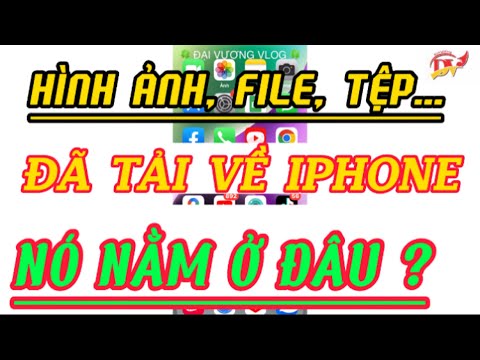 Hình Ảnh Video File Tệp Đã Tải Về Được Lưu Ở Đâu Trên Điện Thoại IPhone IPad mới 2023