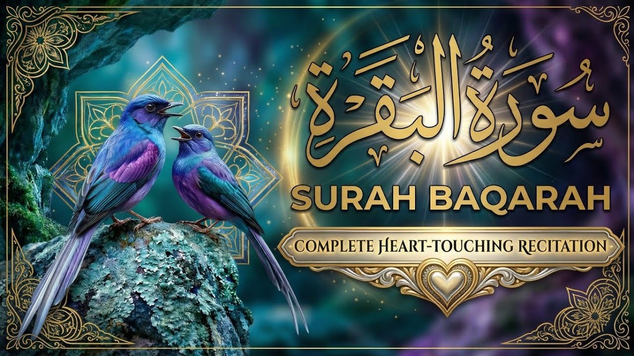 Surah Baqarah Complete Tilawat Full HD Video | Beautiful Quran Recitation