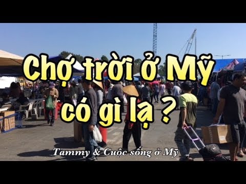 cho troi o my 2022 Update Cuộc sống ở Mỹ - Đi chợ trời ở Mỹ (Flea Market)
