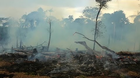 Modeling Deforestation in TerrSet