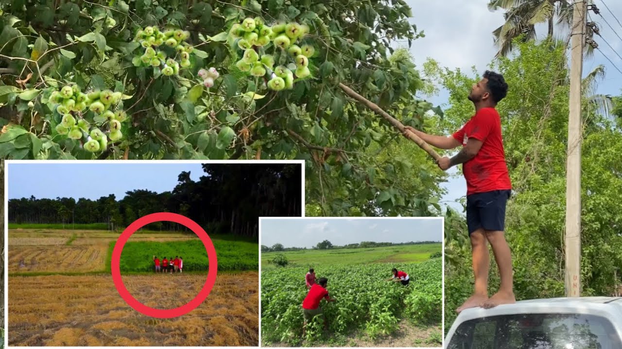 এটা কি করছি আমরা সবাই || 🤪