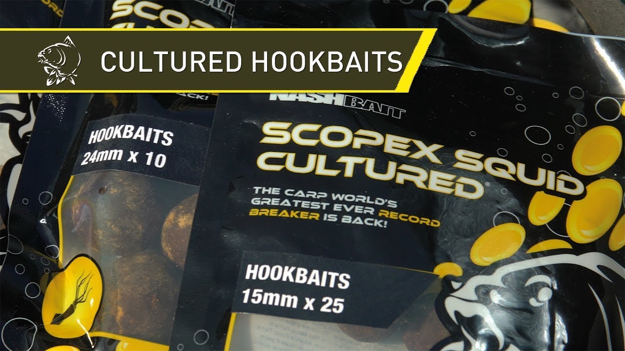B7211 Boilies Citruz Cultured Hook Baits Nash 15 mm Pesca Carpfishing CAS