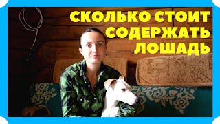 СКОЛЬКО СТОИТ СОДЕРЖАТЬ ЛОШАДЬ + (ЗАРАБОТОК)