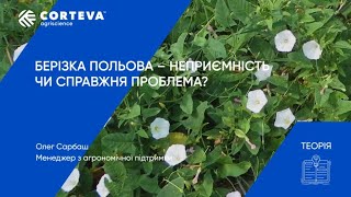 Агропоради від Corteva. Серія 37. Теорія. Берізка польова – неприємність чи справжня проблема?