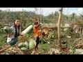 SURVIVAL FOOD After The Super Typhoon Odette (Rai) BOHOL, PHILIPPINES