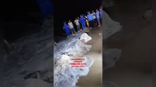 Gegerrrrr Penemuan Putri Duyung Asli