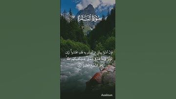 تلاوة خاشعة ومؤثرة للشيخ ماهر المعيقلي #اكسبلور #لايك #دويتو #راحة_نفسية