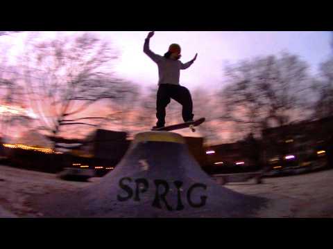 SPRIG