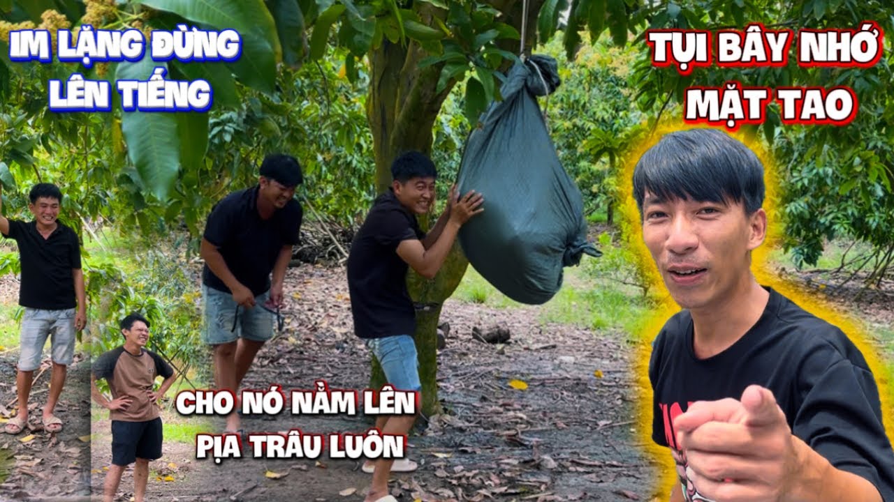 Cả team còn cay tư nhọn truyện cũ quyết làm cho ra lẽ  | HoàiPhong TV