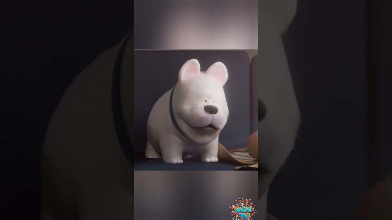 Funny shorts cartoon   