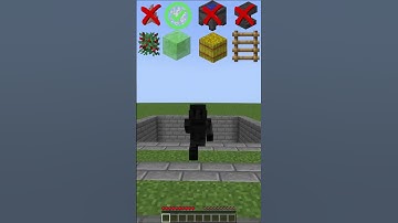 MINECRAFT : BLOCK