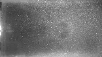 Raw PIV Data Capture