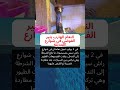 النعام الهارب يثير الفوضى في شوارع المدينة