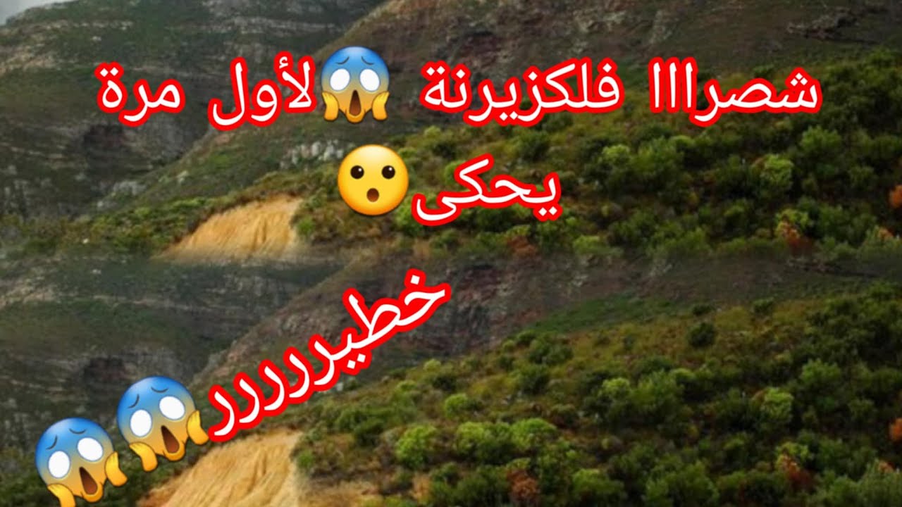 #قصص العشرية السوداء....بعد ما دارو فيه الثيقة وقراهم لامان غدر بيهم وطلع للجبل