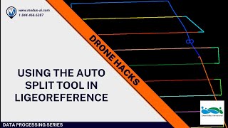 How to Use the Auto Split Tool in LiGeoreference Profile