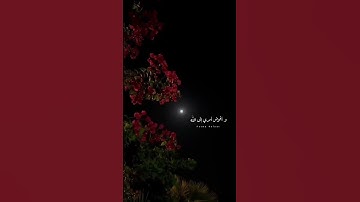 "وأفوض أمري إلى الله "حالات واتس آب قرآن كريم | القارئ الشيخ #مشاري_العفاسي