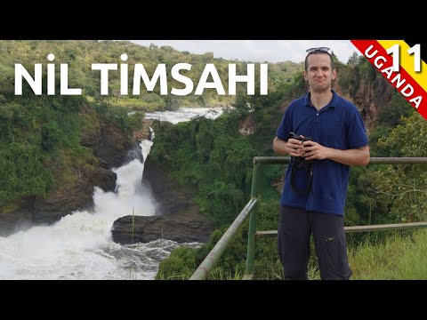 Video: Murchison Falls Milli Parkı, Uqanda: Tam Bələdçi