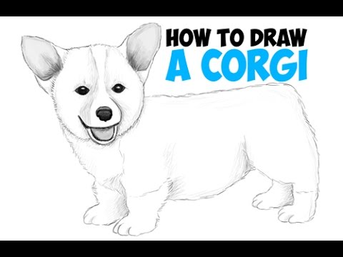 Featured image of post Realistic Easy Cute Dog Drawing / We focus on every detail like from furry dog and greyhounds to puppies, poodles and dalmatians, we can teach you how to draw all kinds of pooches and make them come alive on paper.