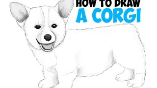 This drawing tutorial will teach you how to draw a corgi puppy dog
with easy step by and instructions. follow these simple steps dra...