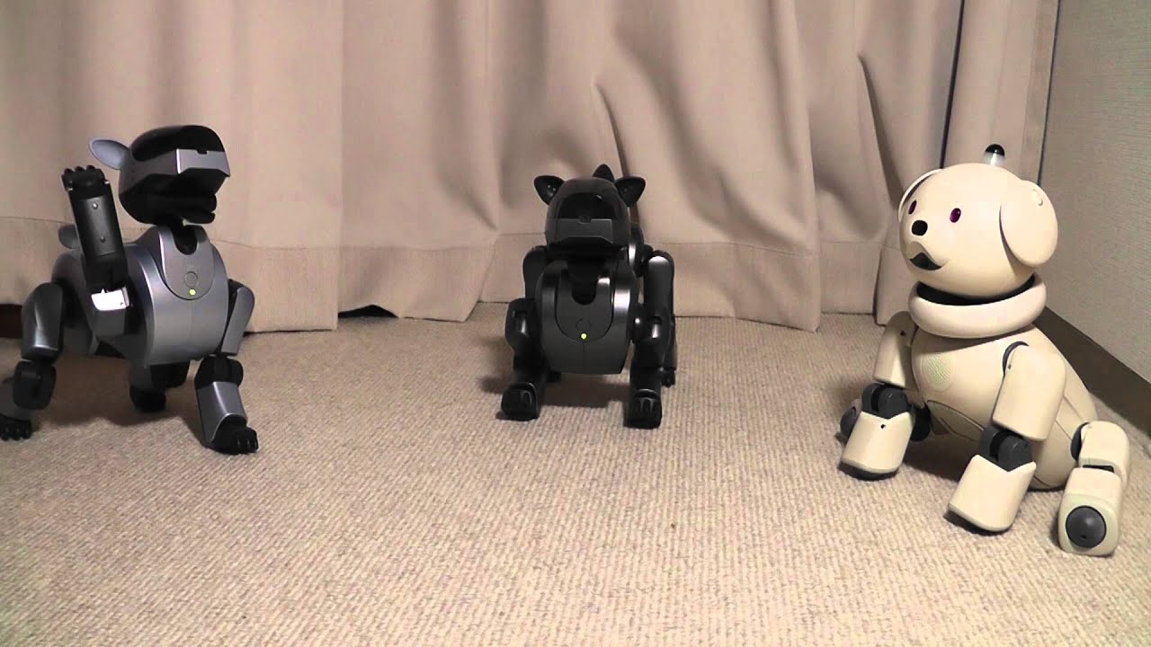 入院していた　おともだちAIBO