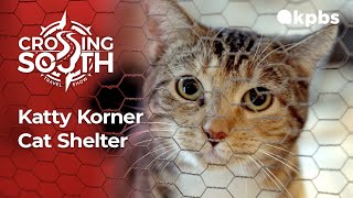 Crossing South Bite Size: Katty Korner Cat Shelter