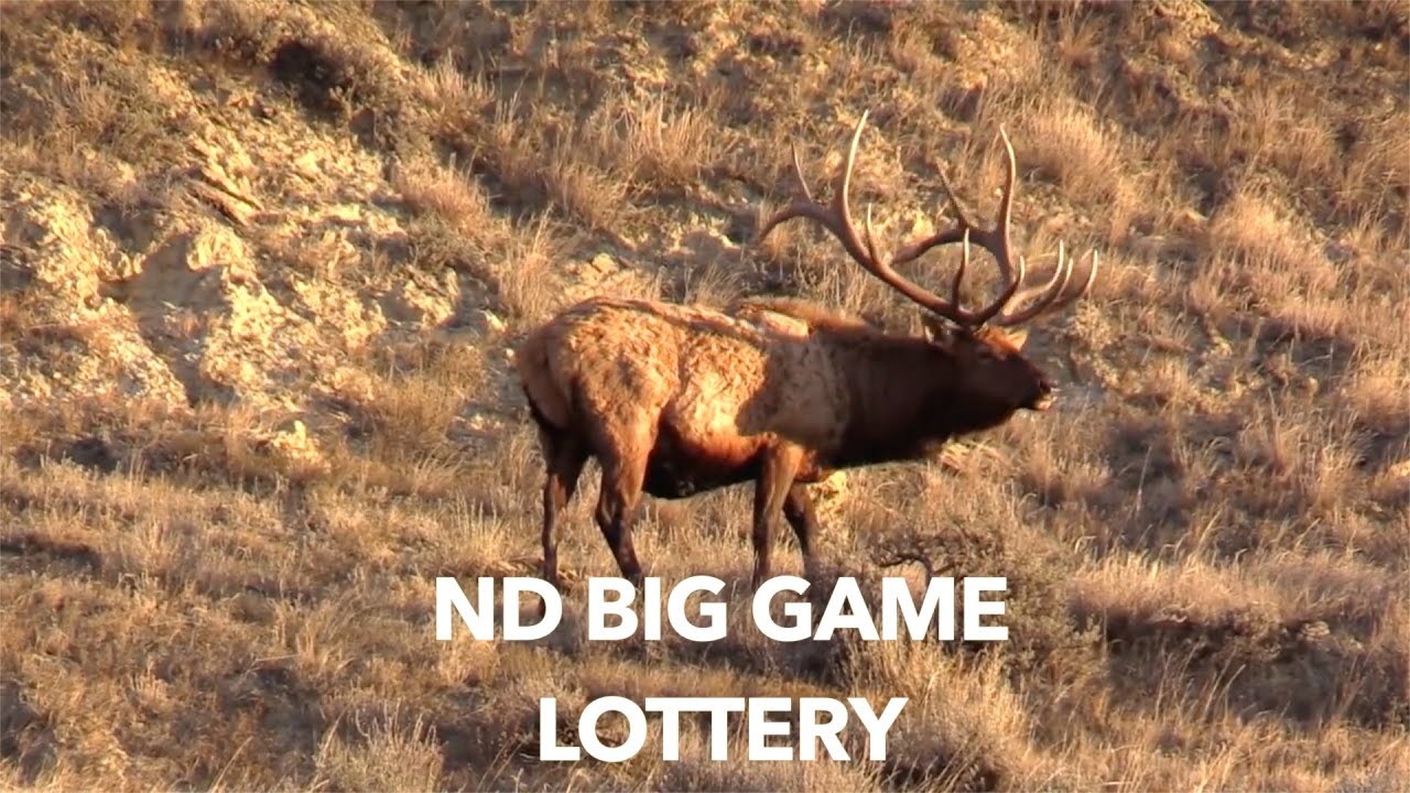 Applications for nd big game lottery now available youtube