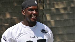 Steelers Training Camps | 2013-2014-2015-2017-2018