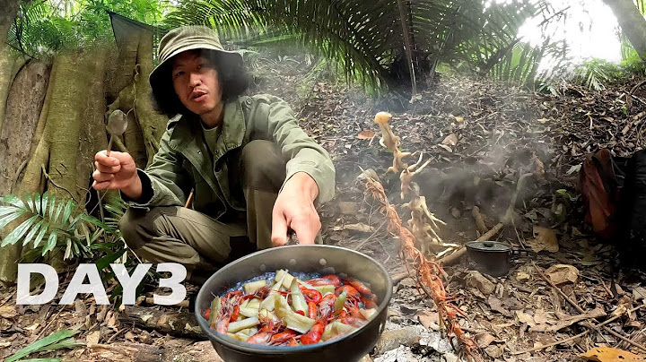 ลุยป่าดิบโหด 4 วัน 4 คืน  Ep.3  กินอาหารป่าและดำรงชีพ...!!  [ โจโฉ ]