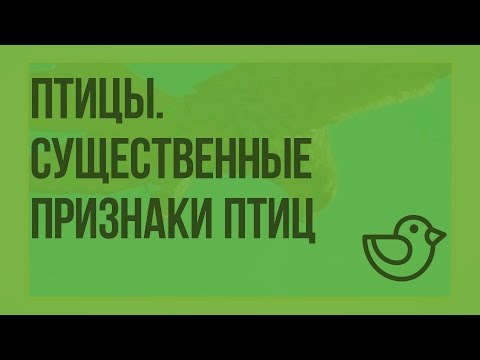 Видео: Какие признаки существенны в фонографологическом анализе?