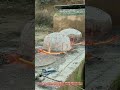 手作りの陶器制作の実録