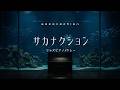 Sakanaction Slow Piano Music Collection For Working (No Mid-roll Ads)